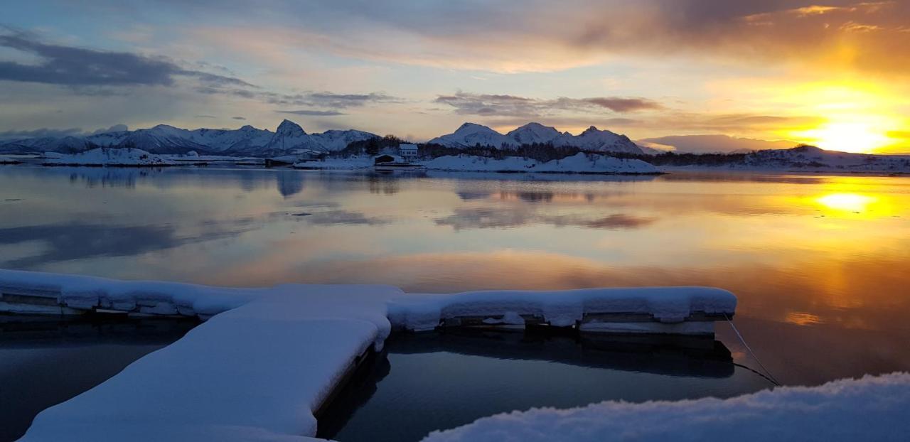 Ringstad Resort Bo (Nordland) Экстерьер фото