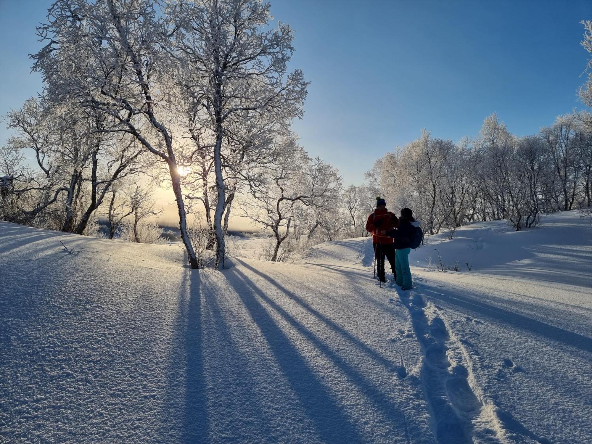 Ringstad Resort Bo (Nordland) Экстерьер фото